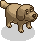 Hond in Holo Hotel
